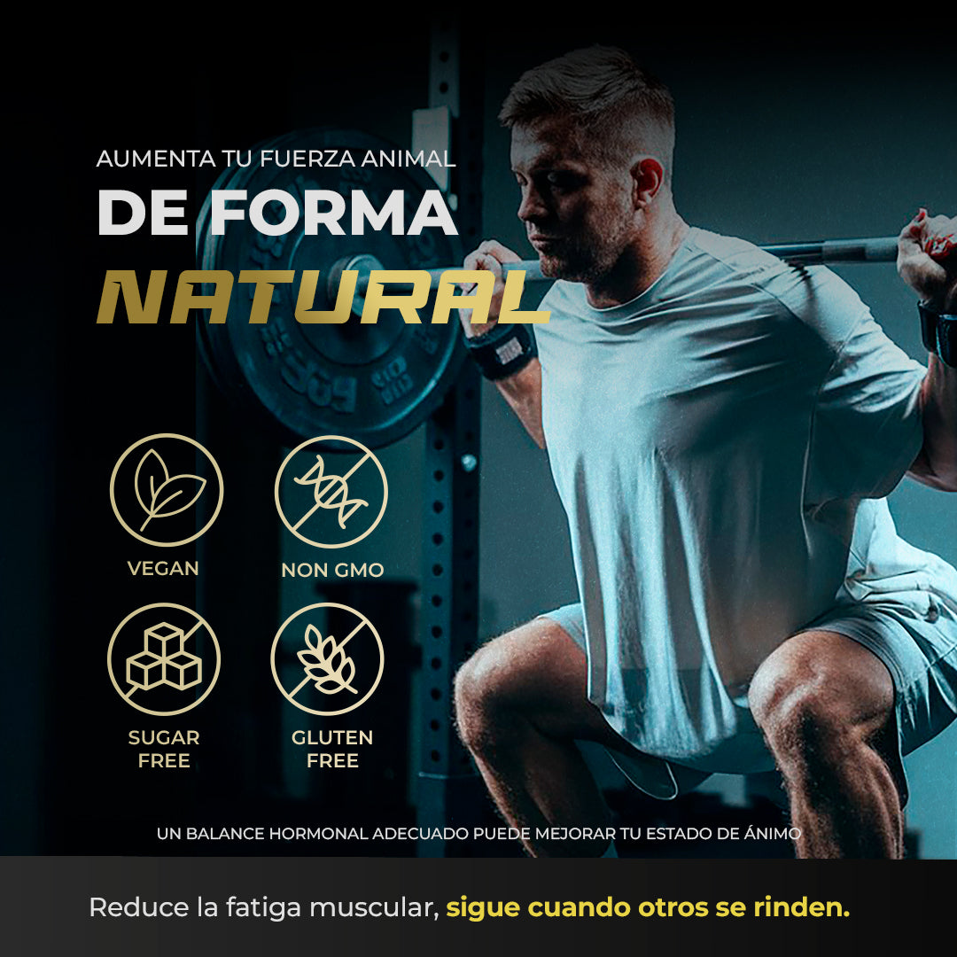 Pack Bienestar Masculino: Multi Men + MensT + Shilajit