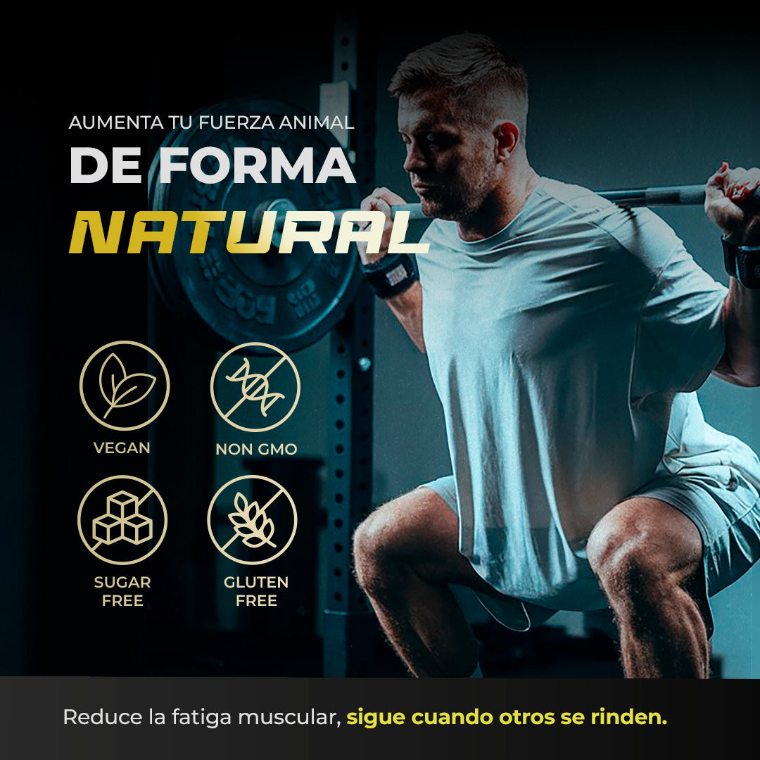 Pack GymRat: Creatina + ZZZ BRN + Day BRN + Pre Boost