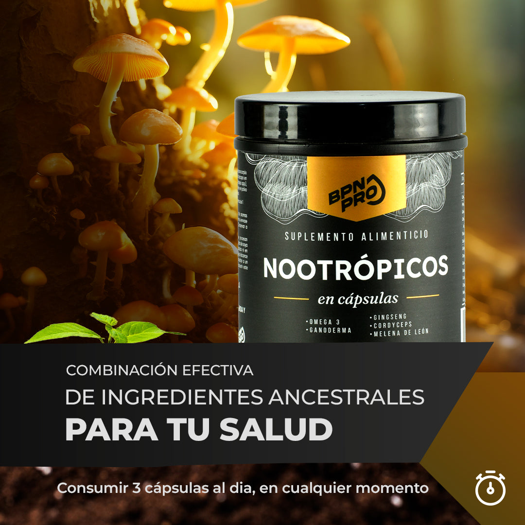 Pack Oficina: Nootropicos + Magnesio Complex + Café de Olla