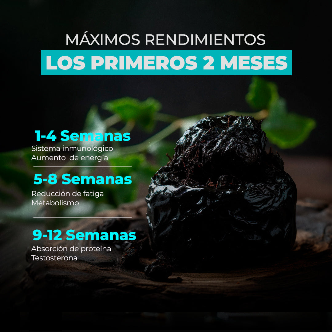 Shilajit Puro Himalaya Mineral Ácido Fúlvico Antioxidante | BPN Pro