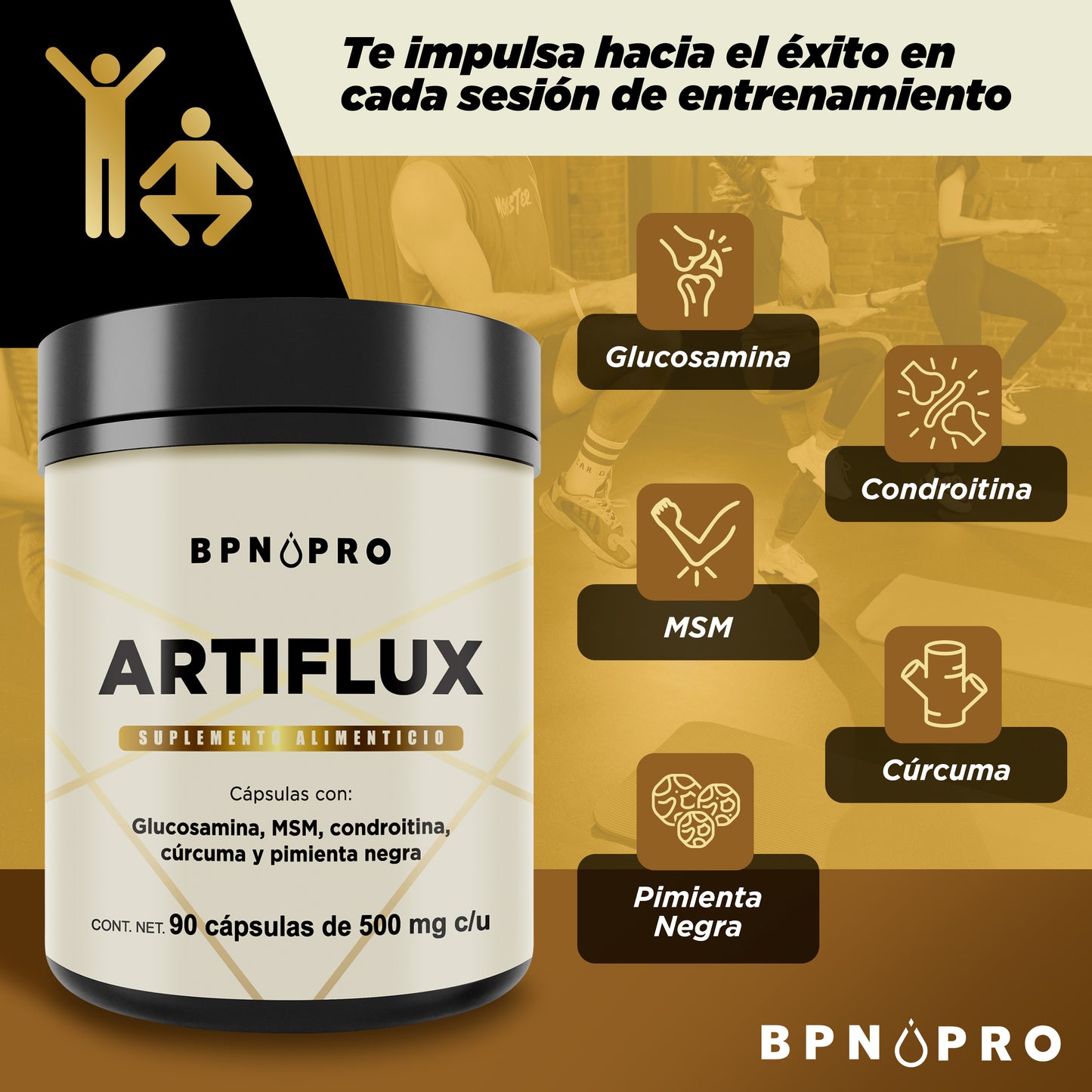 Artiflux Glucosamina MSM Condroitina Curcuma | BPN Pro