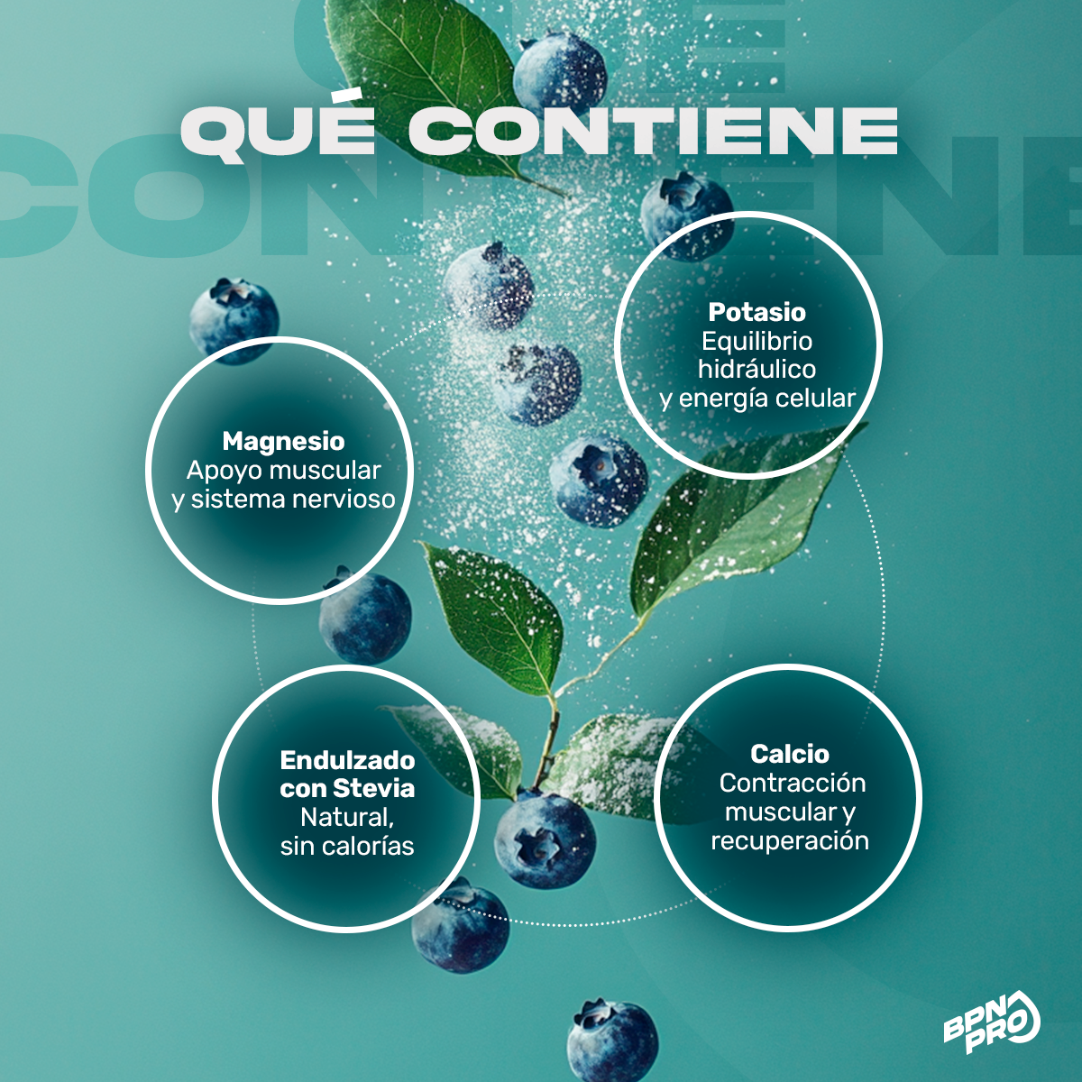 Pack Hidratación: Hydrox Fresa-Kiwi + Hydrox Blueberry + Hydrox Sandía