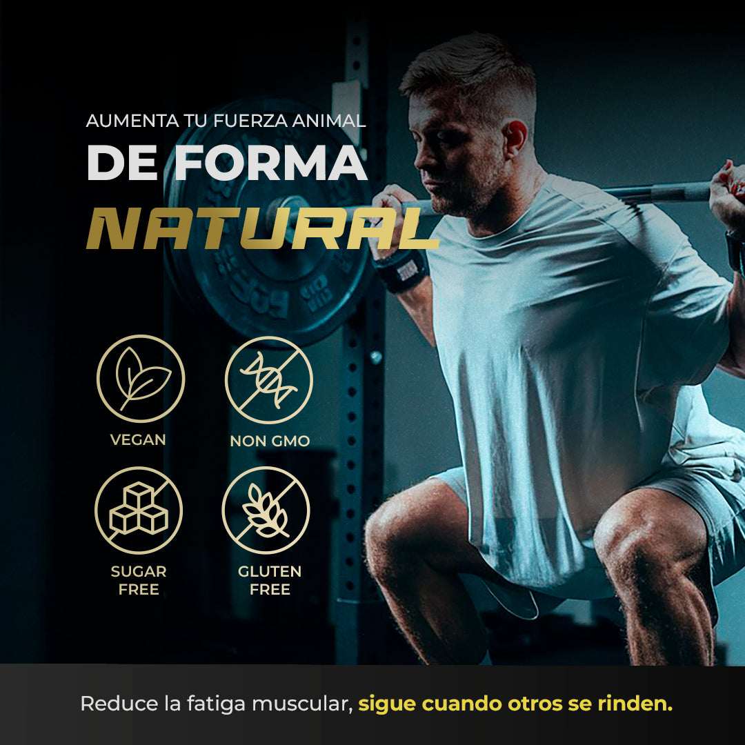 Pre Entreno PreBoost | BPN Pro