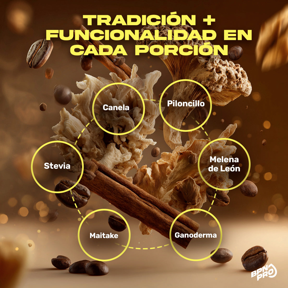 Café de Olla con Adaptógenos | Ganoderma, Shitake, Maitake y Melena de Leon 450 gr