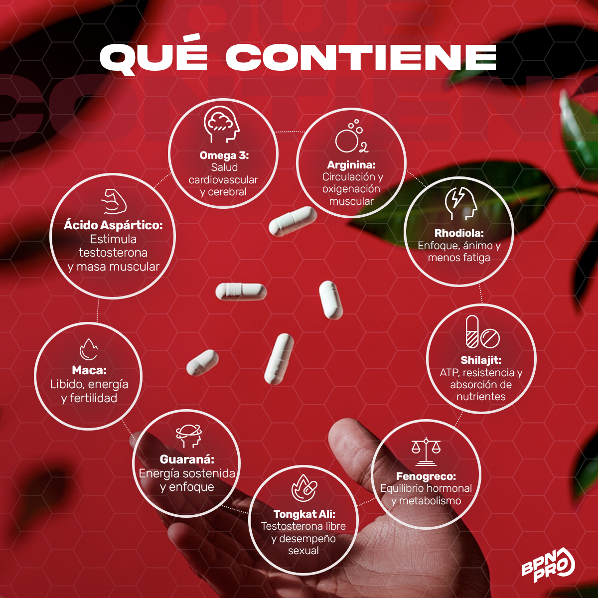 Mens T Plus Formula para hombre | BPN Pro