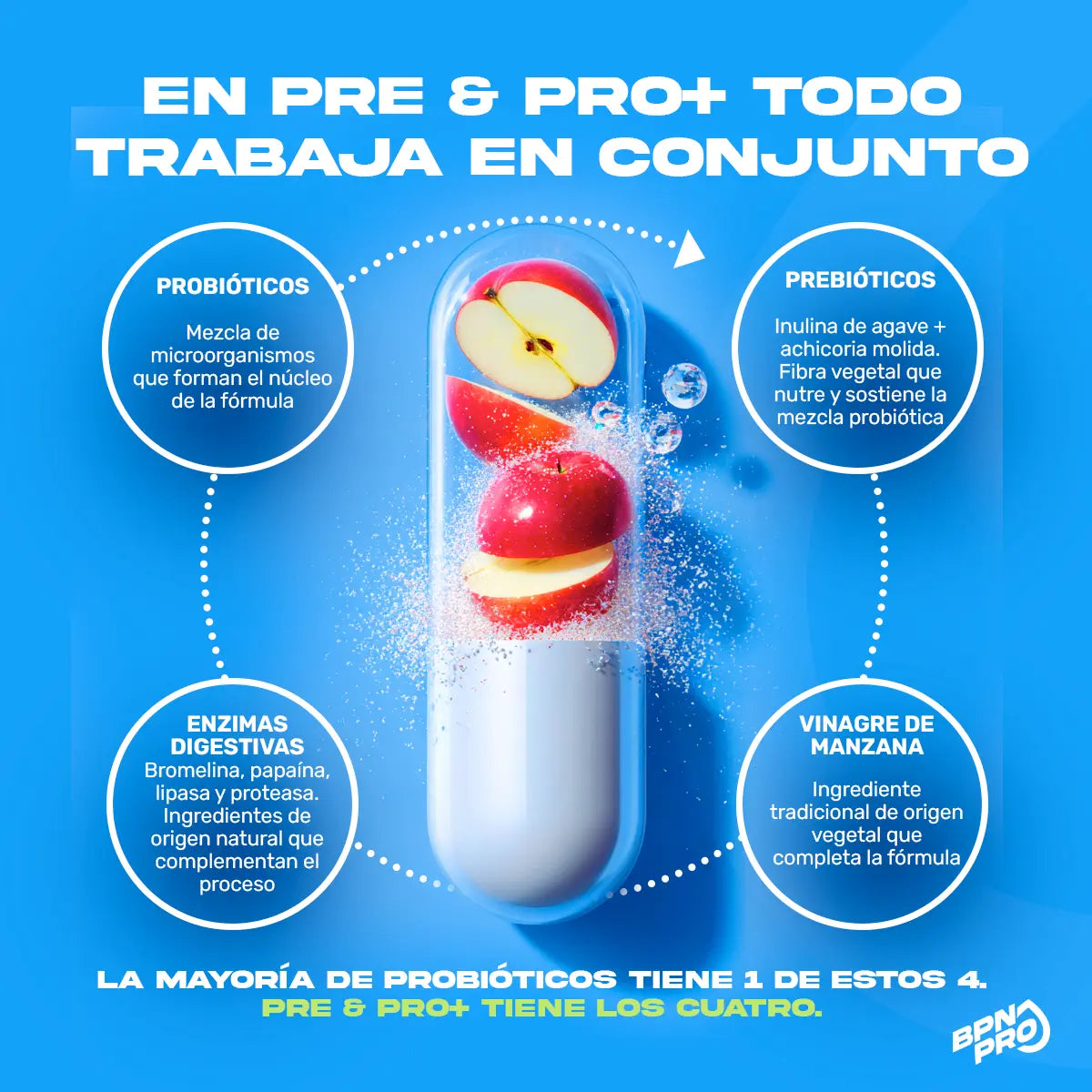 Pre&Pro+| Probióticos y Prebióticos Con Enzimas Digestivas